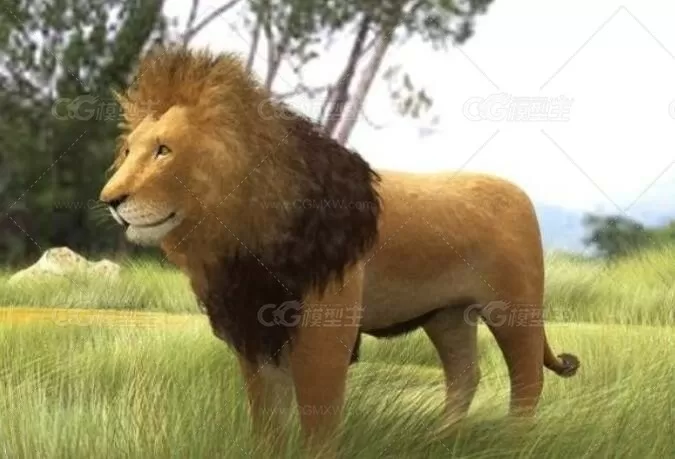 雄狮模型Lion 3d model-1