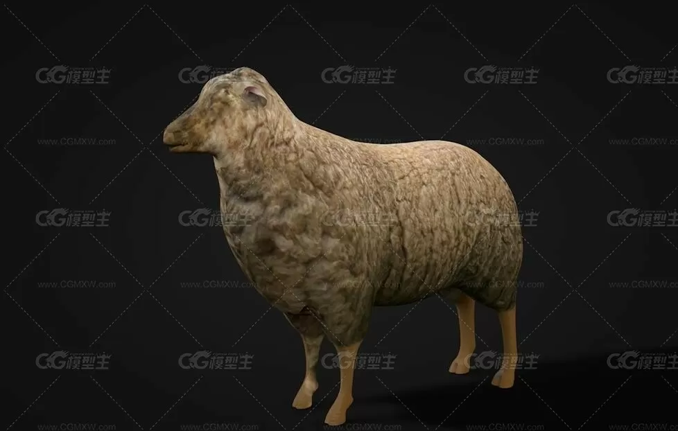 Sheep 绵羊模型-1