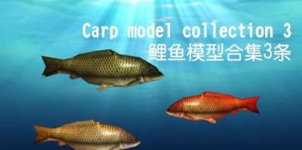 鲤鱼模型合集3条Carp model collection 3