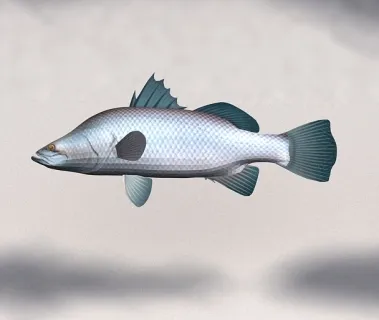 鱼（自带灯光摄像机） 3D模型