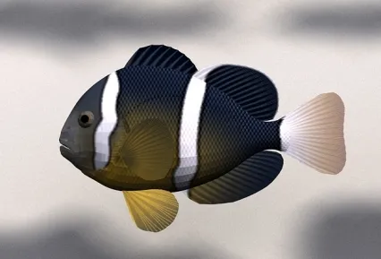 热带鱼（自带灯光摄像机） 3D模型