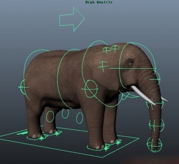 Maya模型 写实大象 CG模型