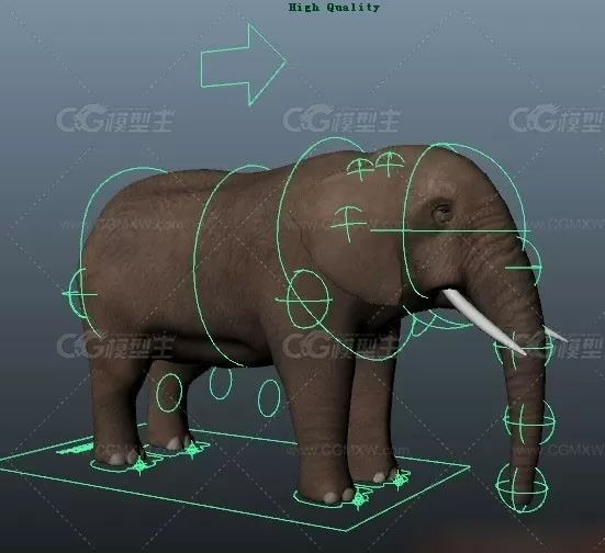 Maya模型 写实大象 CG模型-1