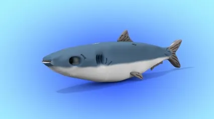 C4D沙丁鱼模型