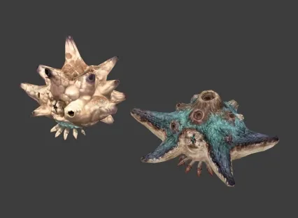 海星 海底生物 深海场景 海底植物 海底世界