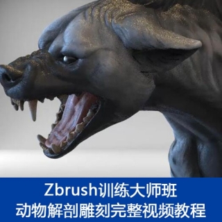 Zbrush训练大师班 动物解剖雕刻完整视频教程（附带源文件）