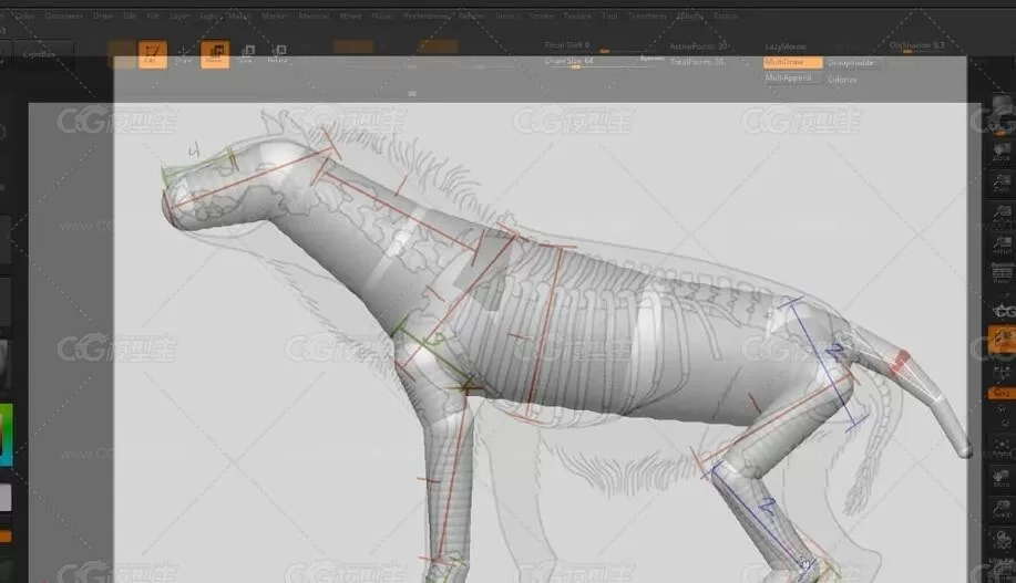 Zbrush训练大师班 动物解剖雕刻完整视频教程（附带源文件）-4