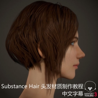 Substance Hair 头发材质制作教程（中文字幕）