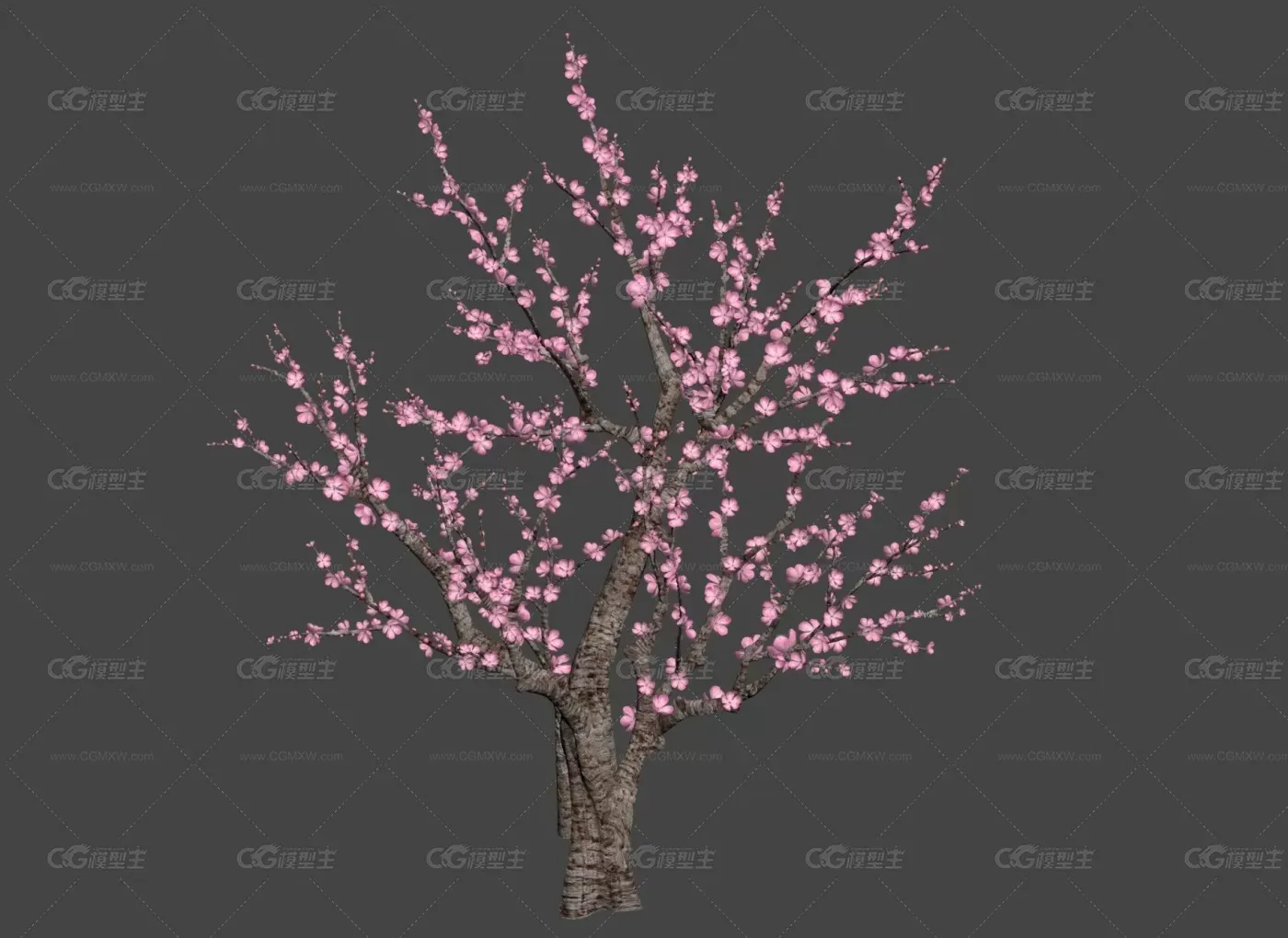 桃树 3d模型-1