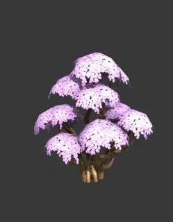 粉红色花树