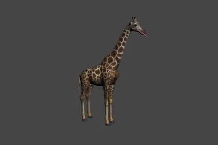 次时代 长颈鹿 3D模型