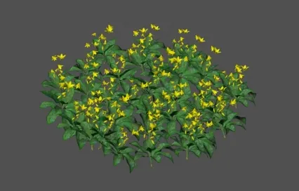 黄色猪牙花 3D模型