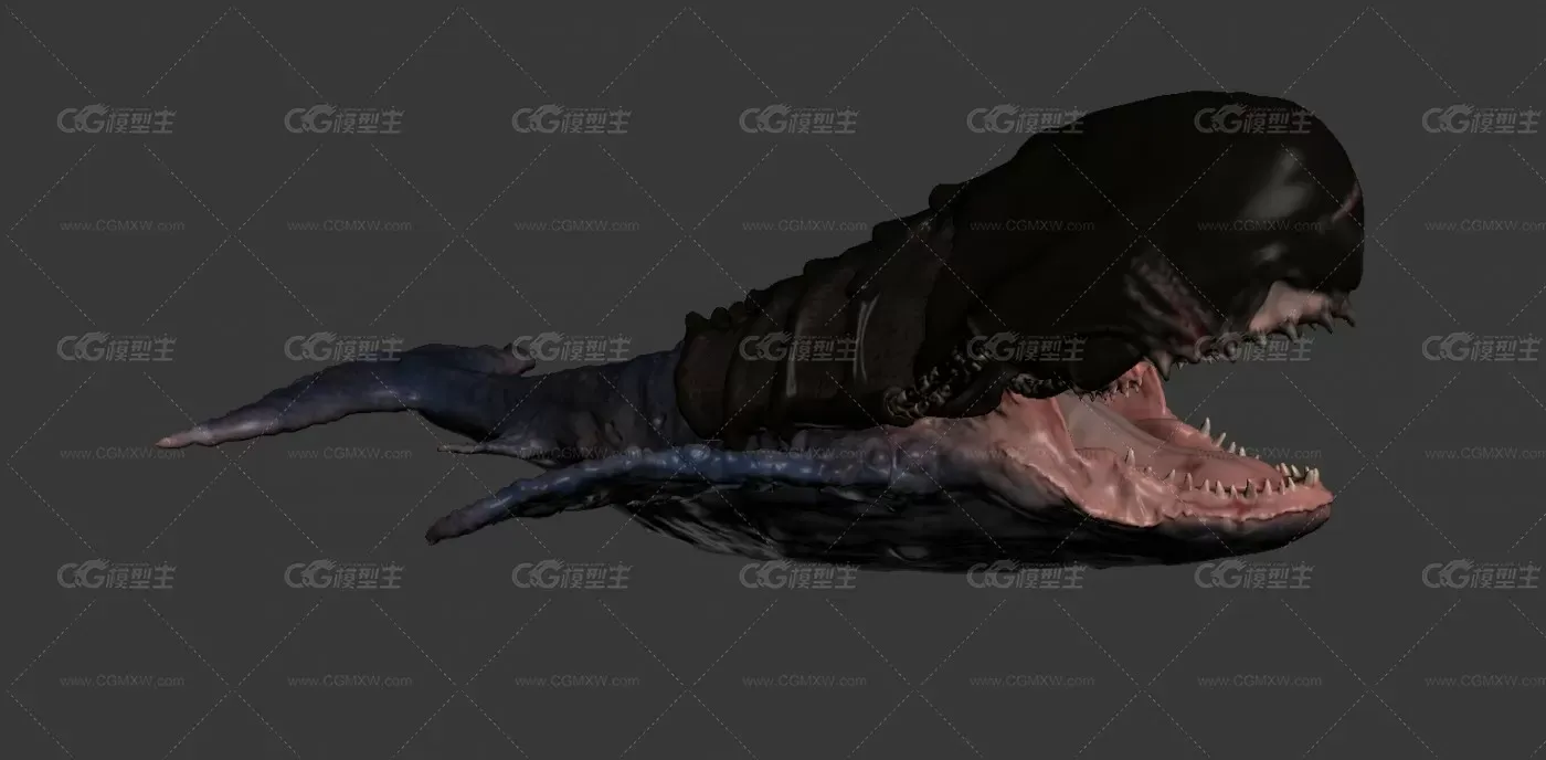 次时代 鲲 鲸鱼 3D模型-1