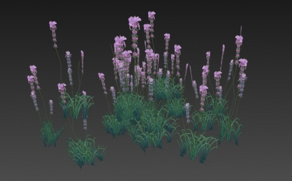 花 植物 3D模型