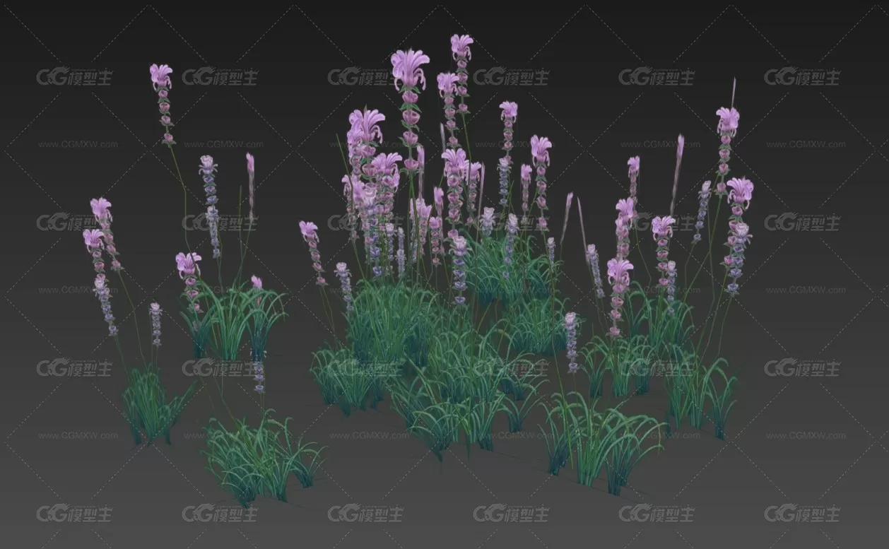 花 植物 3D模型-1