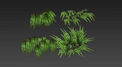 植物 3D模型