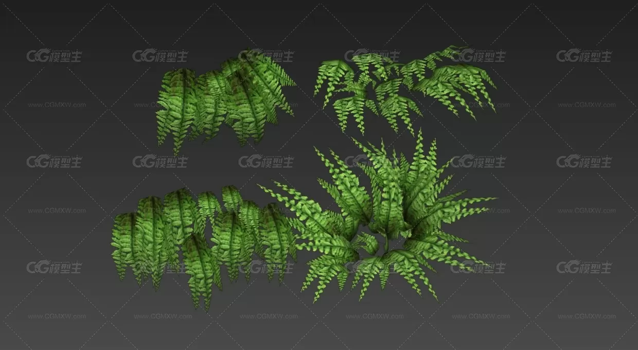 植物 3D模型-1