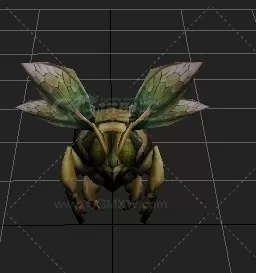 蜜蜂 CG模型免费下载-1