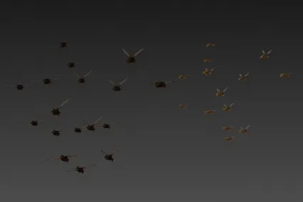 蜂群 3D模型