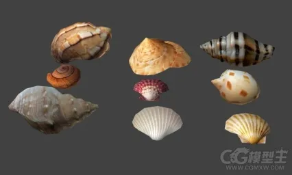 海螺 贝壳 海底物件模型