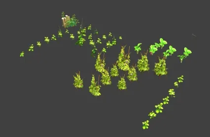 庄家 植物 3D模型