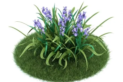 鸢尾属植物 3D模型免费下载