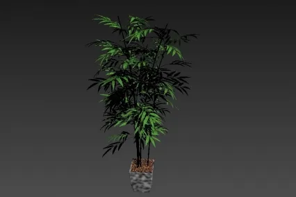 竹盆栽 CG模型免费下载