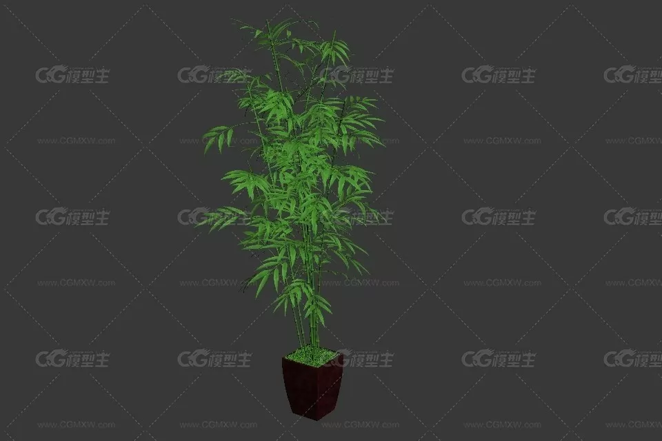 竹子绿植盆栽 3d模型-1