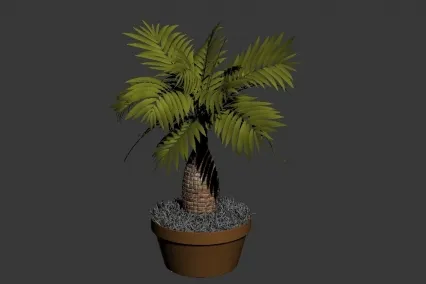 棕榈盆栽 CG模型