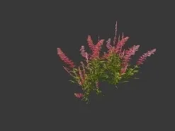 多种花草 CG模型