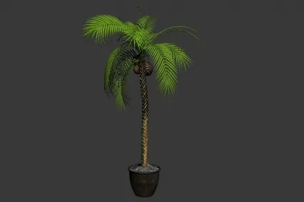 椰子植物 3D模型免费下载