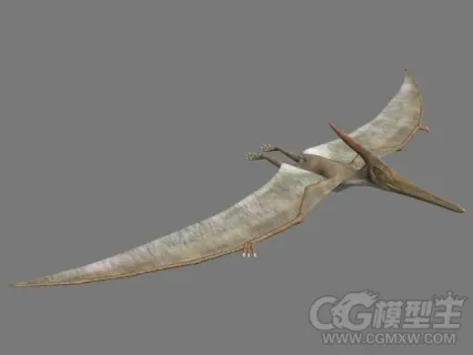 飞龙3D模型 恐龙模型