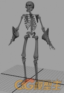 骷髅架子 3D模型免费下载