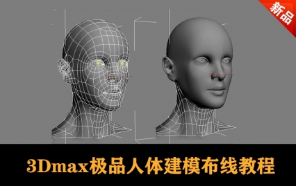 3Dmax极品人体建模布线教程（建模布线标准）