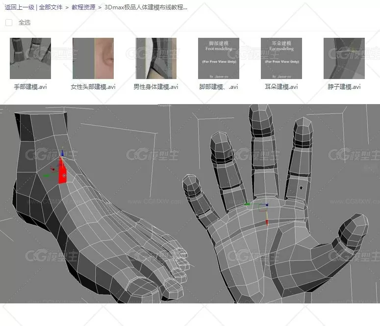 3Dmax极品人体建模布线教程（建模布线标准）-2