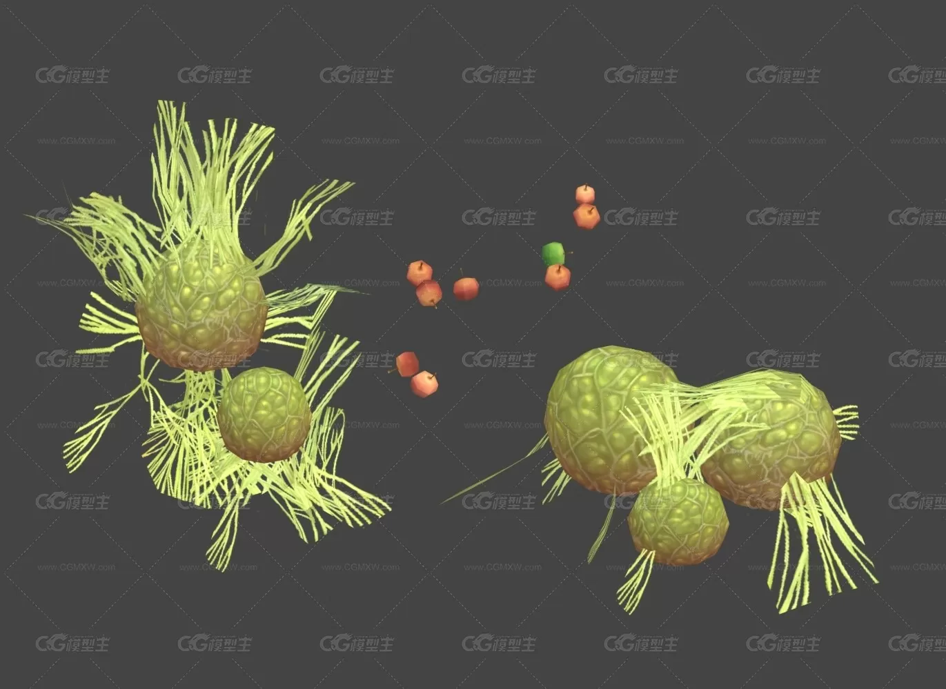 植物根茎水果 游戏模型 低模手绘贴图 喜欢的就下载吧-1