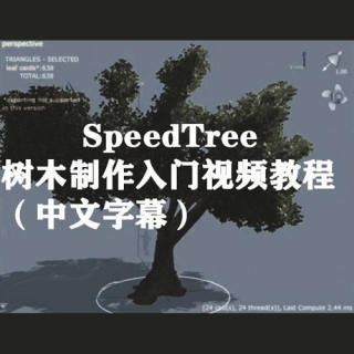 SpeedTree树木制作入门视频教程（中文字幕）