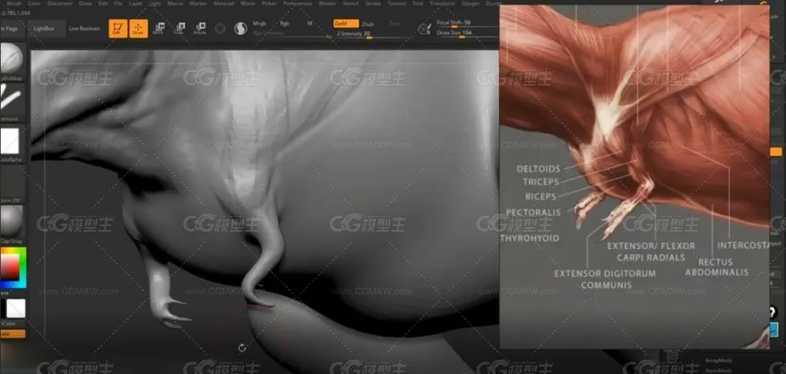 Zbrush恐龙模型雕刻CG教程-2