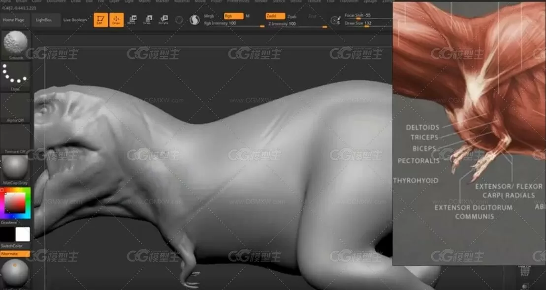 Zbrush恐龙模型雕刻CG教程-5