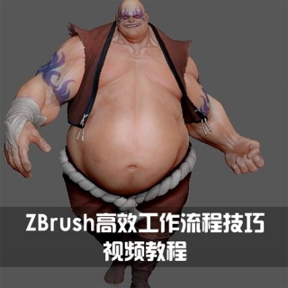 ZBrush高效工作流程技巧视频教程