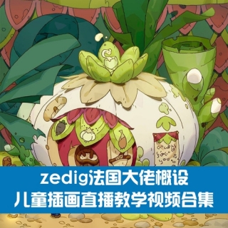 zedig法国大佬概设-儿童插画直播教学视频合集