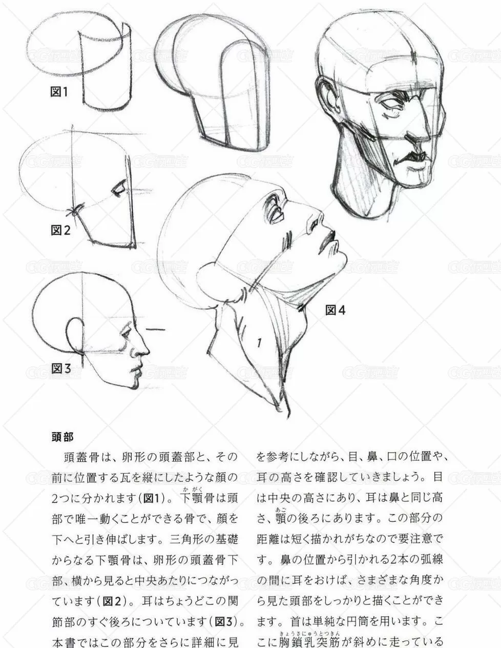 摩尔福人物素描系列-用体块与圆形的描绘表达方式-3