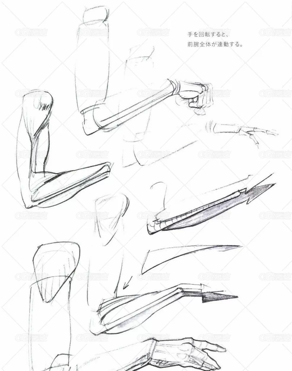 摩尔福人物素描系列-用体块与圆形的描绘表达方式-5