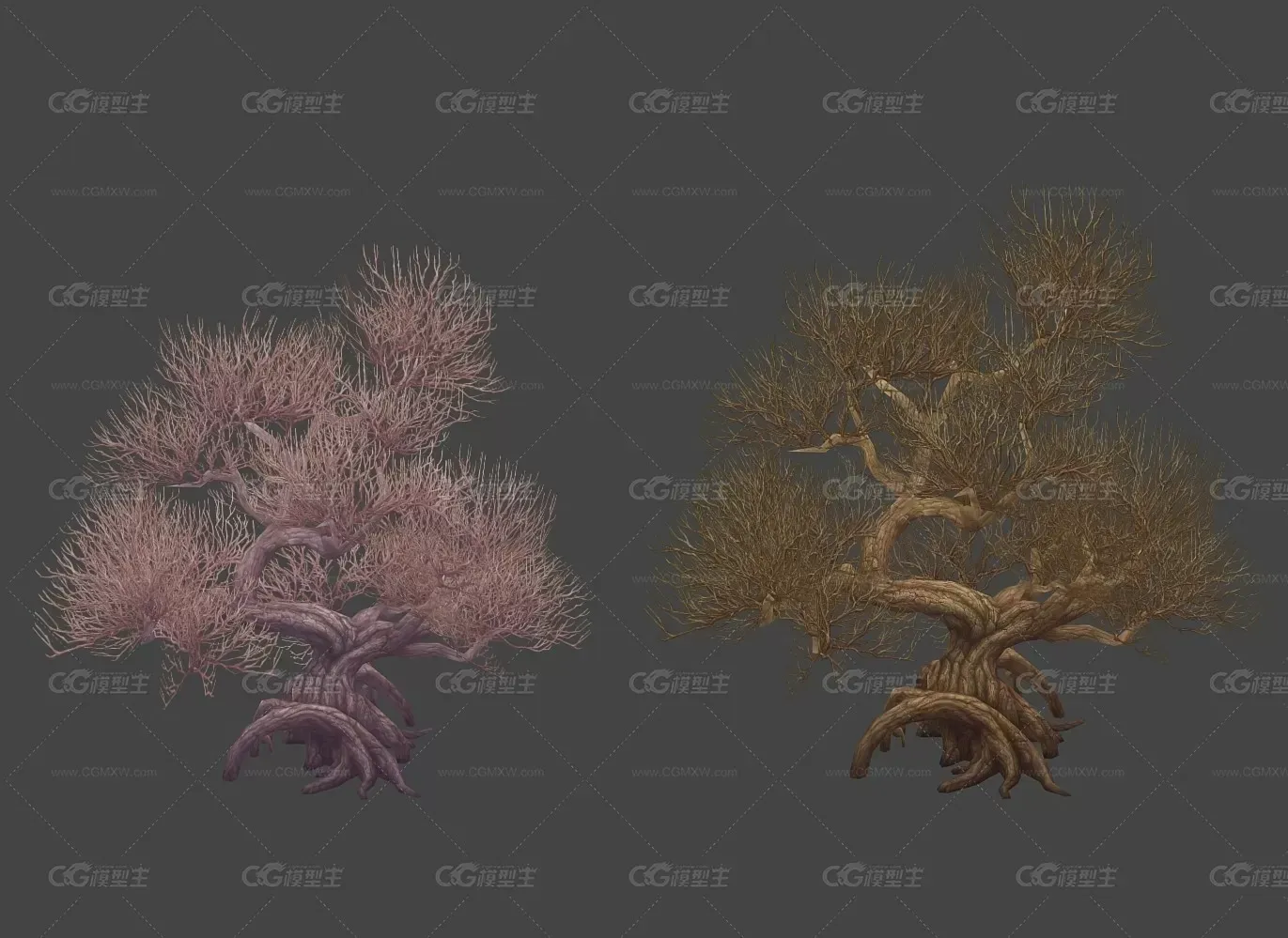 盆景松 游戏模型 低模手绘贴图 喜欢的就下载吧-1