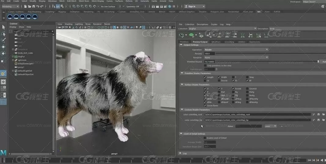 XGen制作真实狗毛发Maya教程-2