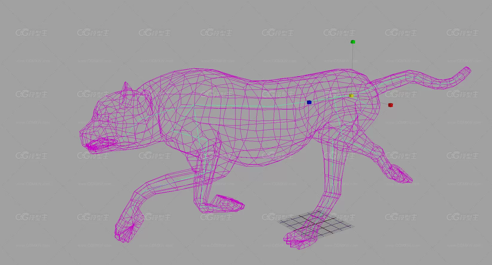 金钱豹 猎豹模型 带绑定动画 FBX格式-10