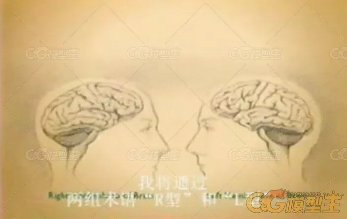 绘画的用脑技法（让你学到绘画时大脑的思维原理）-2