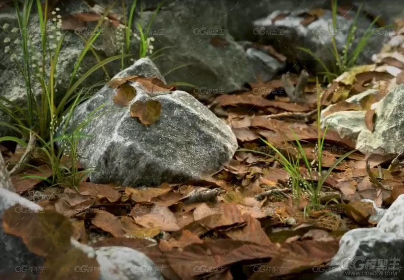 超完整精致森林树木植物场景3D模型-3