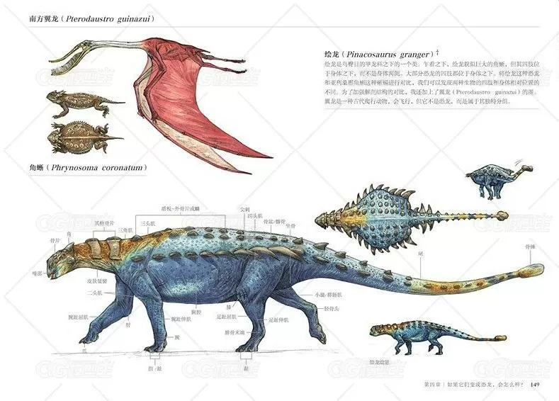 惠特拉奇【游戏奇幻生物解剖教程】书籍三部曲（独家最全）-11