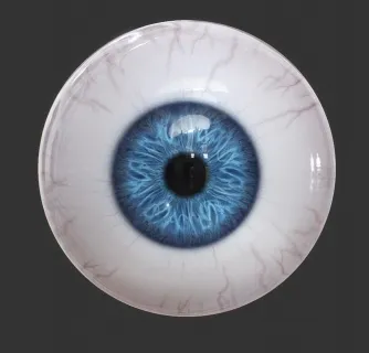 超写实的眼睛3D模型